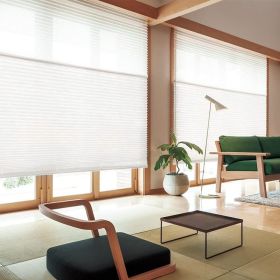 WELLSOURCE Manual Cordless Day and Night Cellular Shades Non Blackout Light Filtering Honeycomb Fabric for Home, Office, Hotel, Club, Restaurant Cust (Color: White, size: Custom Size)