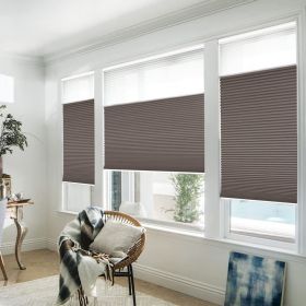 WELLSOURCE Manual Cordless Day and Night Cellular Shades Non Blackout Light Filtering Honeycomb Fabric for Home, Office, Hotel, Club, Restaurant Cust (Color: Brown, size: Custom Size)