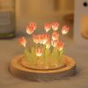 1pc Tulips Gifts For Women Flower Gifts For Her Gifts For Women Birthday Xmas Gift For Mom; Artificial Decor In Glass Dome With Led Light Night Light